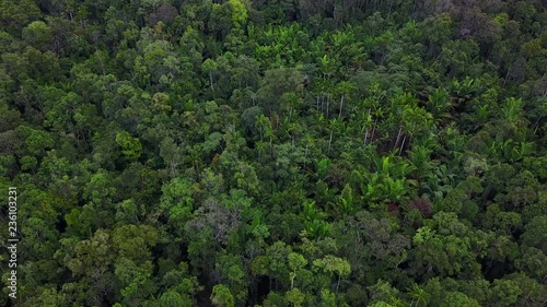Drone flight over Korowai tree houses in the rainforest, West-Papua, Indonesia