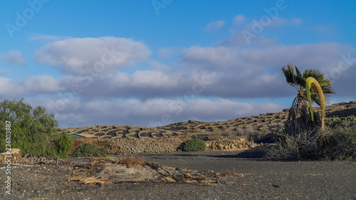 Weinabaugebiete auf Lanzarote photo