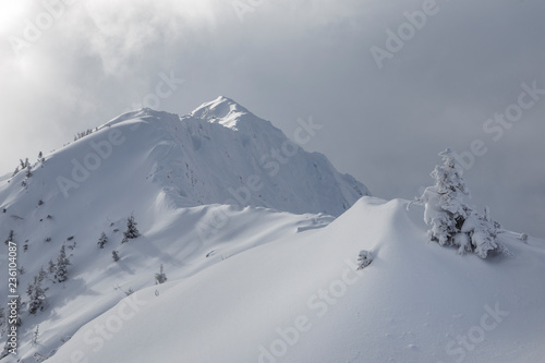 Mountain landscape. Fog and clouds on top. Snow-covered slopes. Black and white picture.