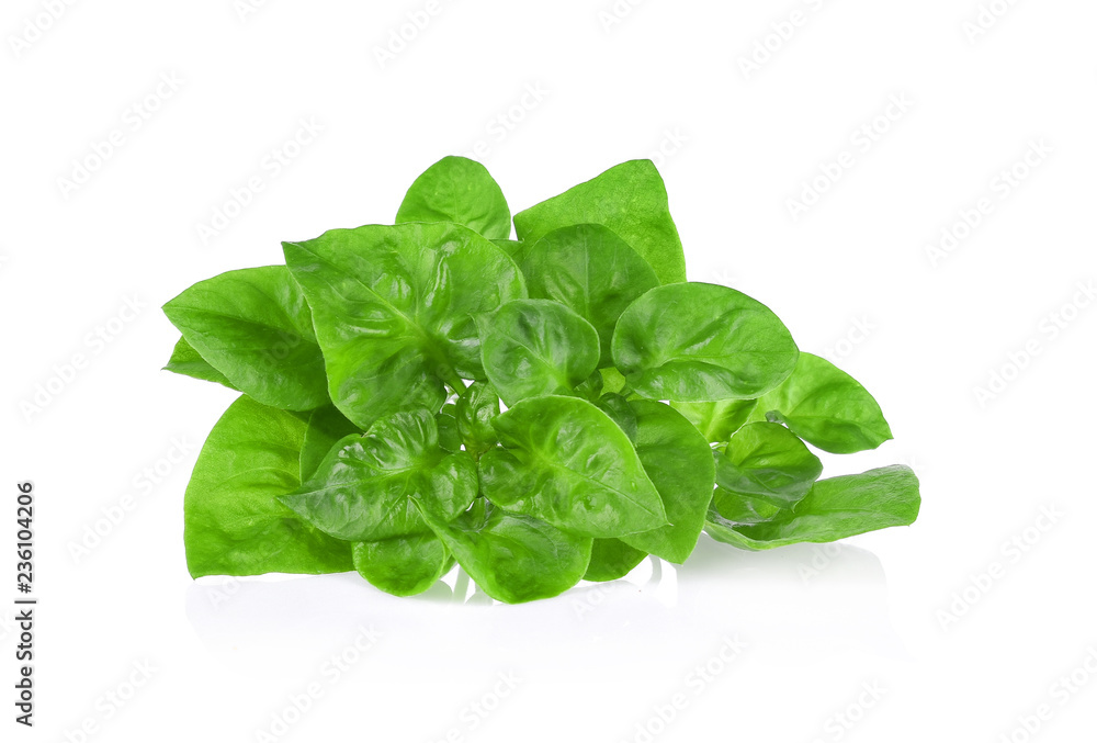 Fototapeta premium Watercress on white background