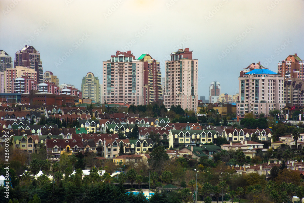 Fototapeta premium buildings surrounded by trees