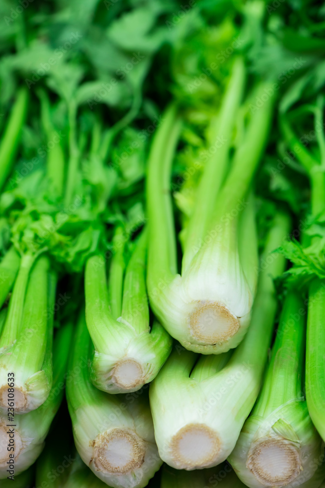 Fresh celery on the market close-up. Healthy food. Selective focus Fresh celery on the market close-up. Healthy food. Selective focus