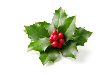 Holly leaves decoration with red berries.