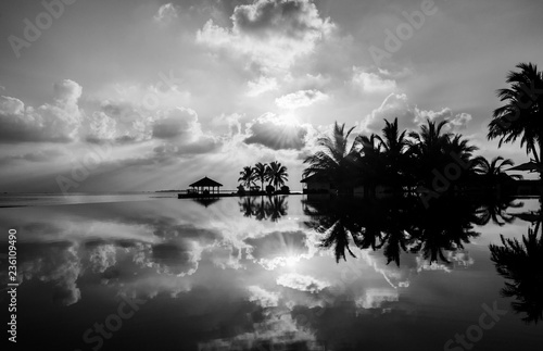 Fototapeta Naklejka Na Ścianę i Meble -  Black and white palm trees silhouettes on tropical beach in Maldives