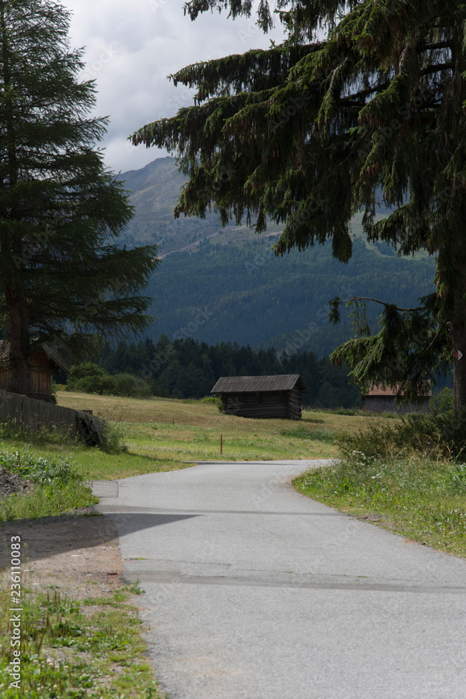 Paesaggio alpino