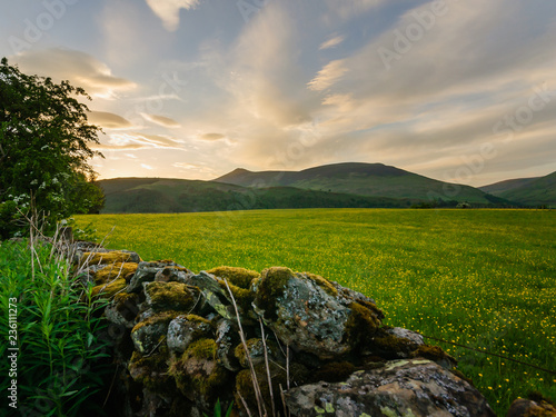 latrigg mountain with wild flower meadow in front photo