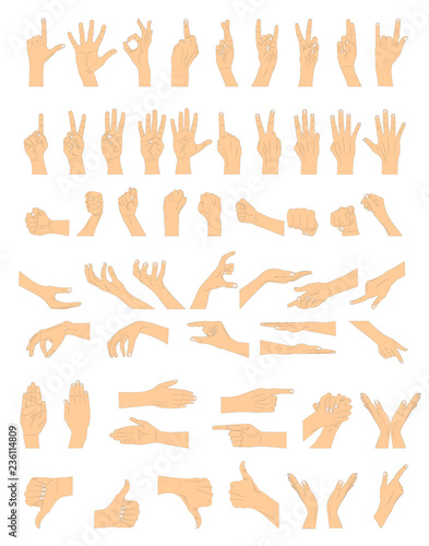 Fototapeta Naklejka Na Ścianę i Meble -  Hand gestures. Vector illustration.