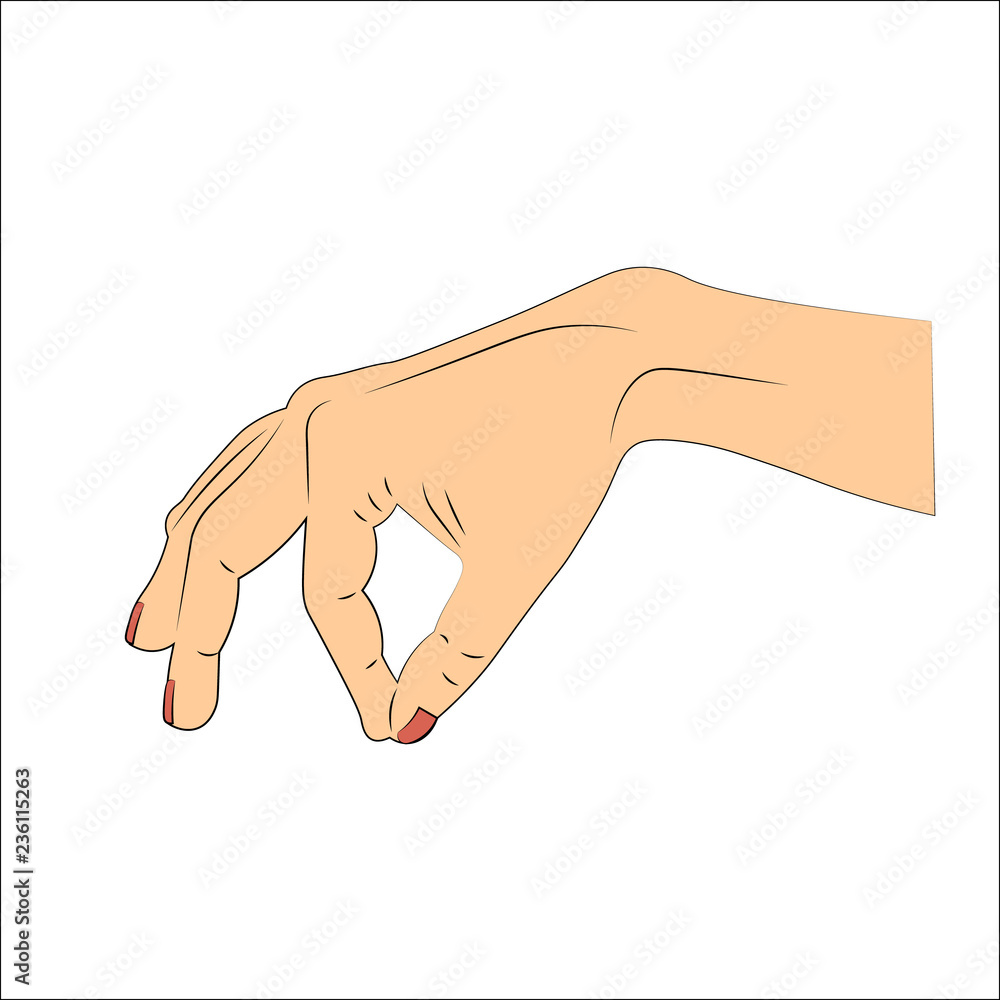 Hand gestures. Vector illustration. Hand gestures. Vector illustration.