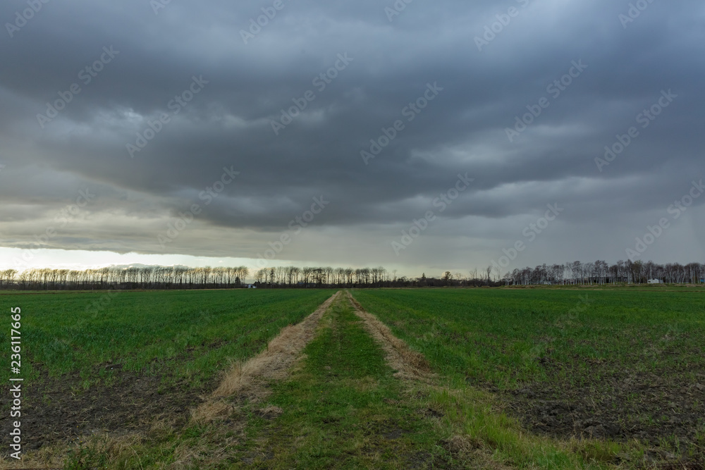 Obraz premium 北海道