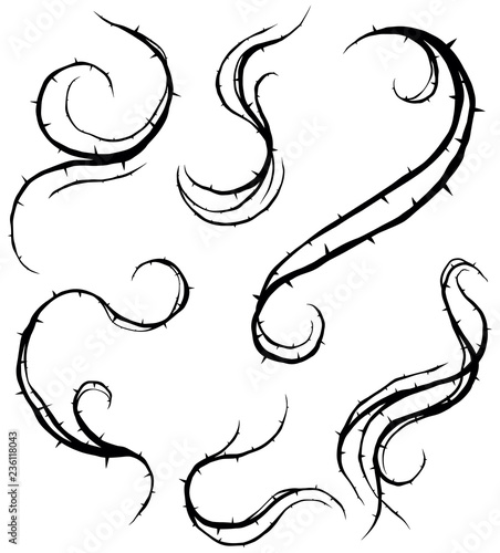 Graphic black silhouette rose branch with thorns