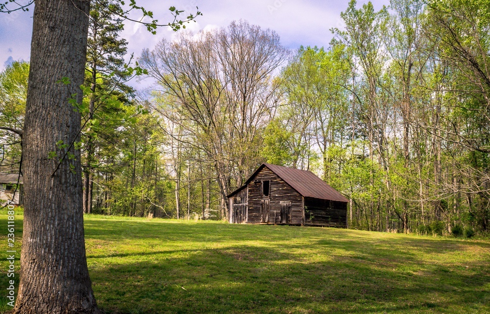 old wooden house in the forest old wooden house in the forest