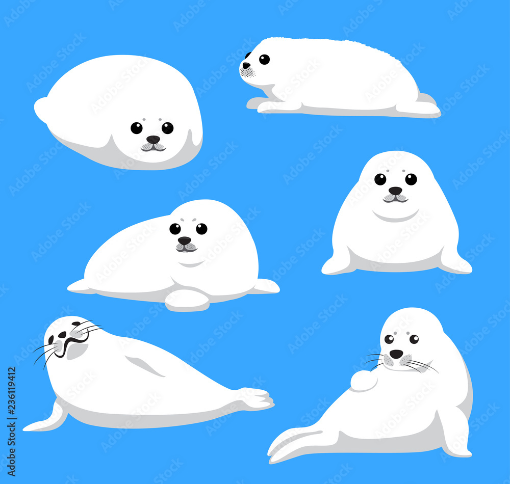 Harp Seal Pup Cute Cartoon Vector Illustration vector de Stock | Adobe Stock