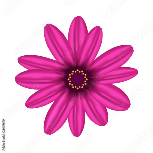 Realistic flower. Vector illustration.