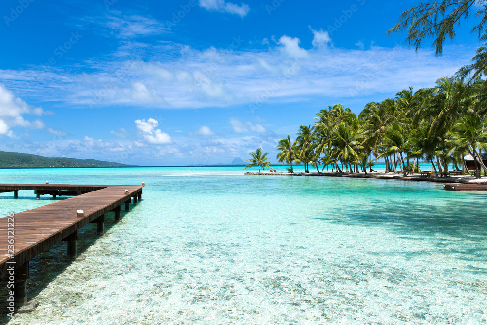 travel, seascape and nature concept - wooden pier on tropical beach in french polynesia