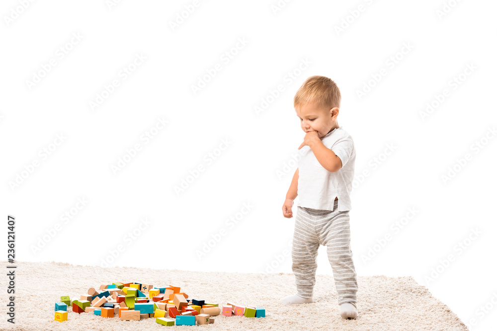 toddler boy standing and looking at multicolored wooden building blocks on carpet isolated on white toddler boy standing and looking at multicolored wooden building blocks on carpet isolated on white