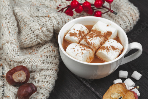 Wallpaper Mural Hot chocolate with marshmallows on the table Torontodigital.ca