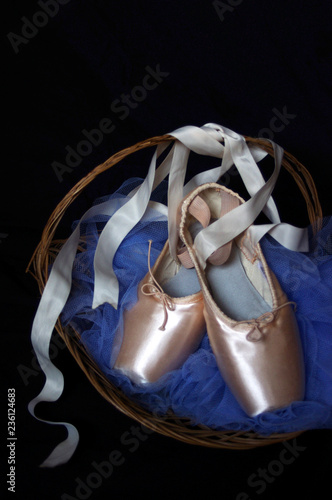 moody new pink Pointe ballet shoes basket with blue tutu 