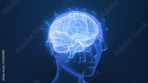 Fototapeta Naklejka Na Ścianę i Meble -  3D render of a holographic digital style human brain conveying the idea of artificial intelligence, bio hacking and the fusion of nature, technology and science