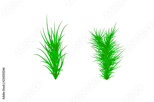 Set of Green grass. Green Grass White Background. Vector illustration