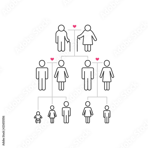 Family tree. Vector illustration, outline style