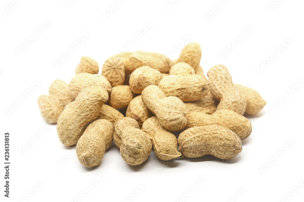 peanuts isolated on white peanuts isolated on white