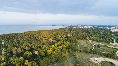 Forest seashore by the Baltic Sea in Gdansk
