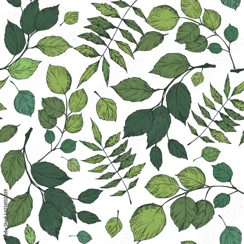 Seamless pattern with leaves, tree branches, berries. Vector illustration © aksol