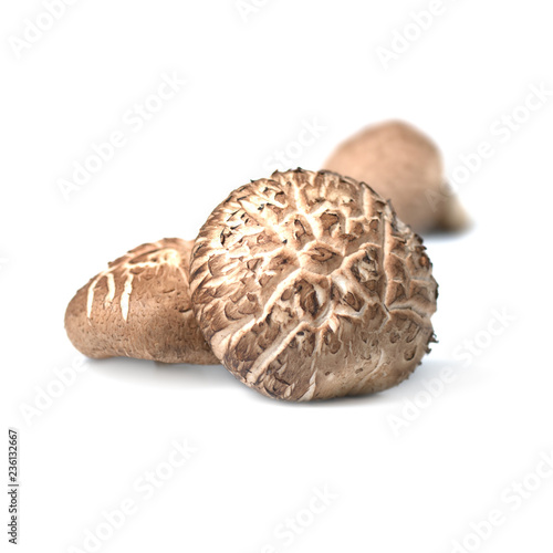 Shitake Mushroom isolate on white background