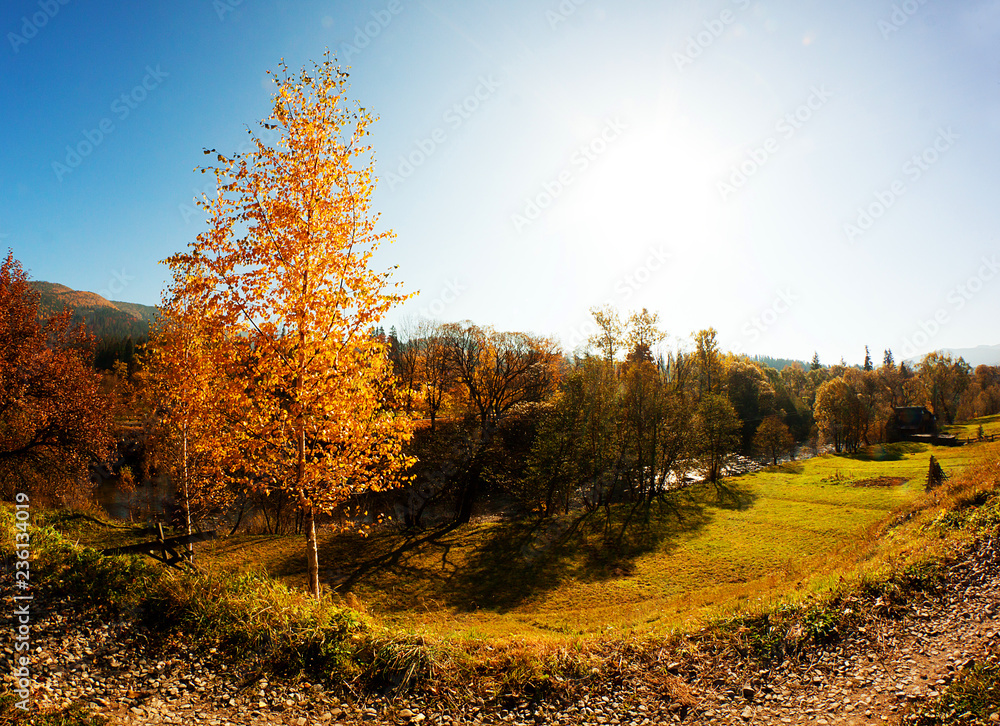 Fototapeta premium Autumn. Fall. Autumn panorama with trees and river