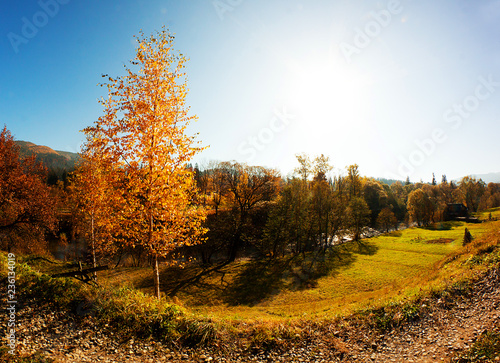 Autumn. Fall. Autumn panorama with trees and river