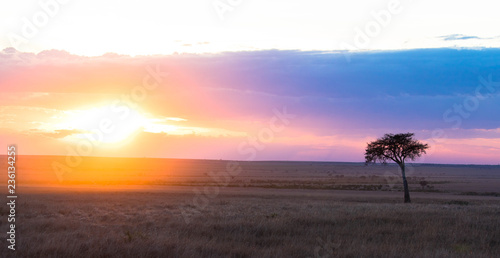 Sonnenuntergang in der Massai Mara