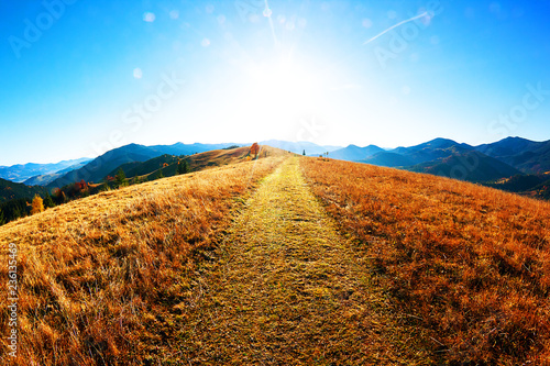 Autumn. Fall. Sunny autumn panorama with mountain, forest, road and blue sky in the forest of Carpathians - freedom and open space