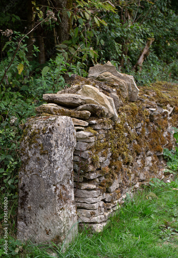 Moss on Drystone Wall Moss on Drystone Wall