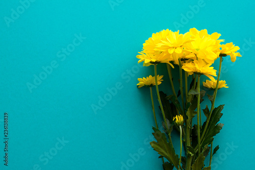 Beautiful bouquet of chamomile on turquoise background with copy space