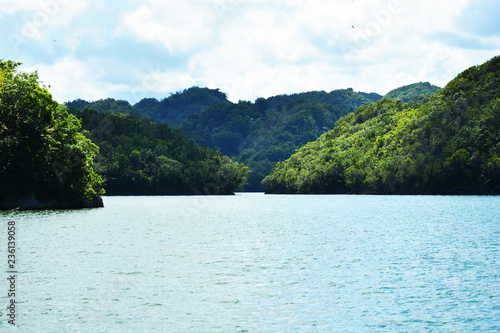 Beautiful Islands and sea on the Samana Peninsula, Dominican Republic © loveart