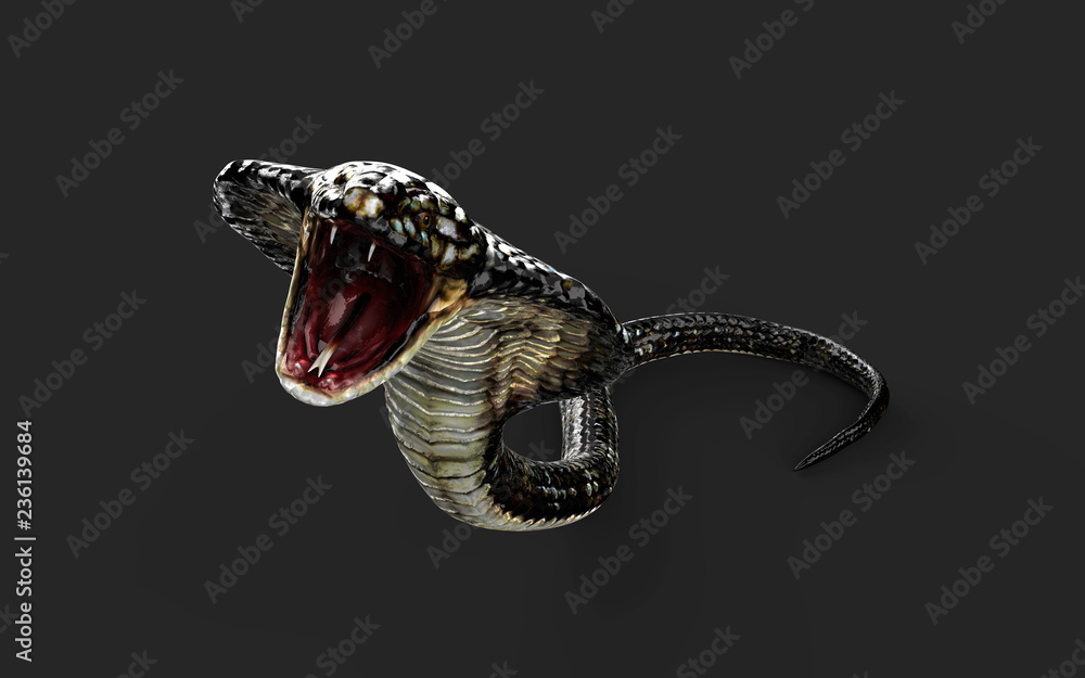 Fototapeta premium 3d Illustration King Cobra The World's Longest Venomous Snake Isolated on White Background, King Cobra Snake with Clipping Path 