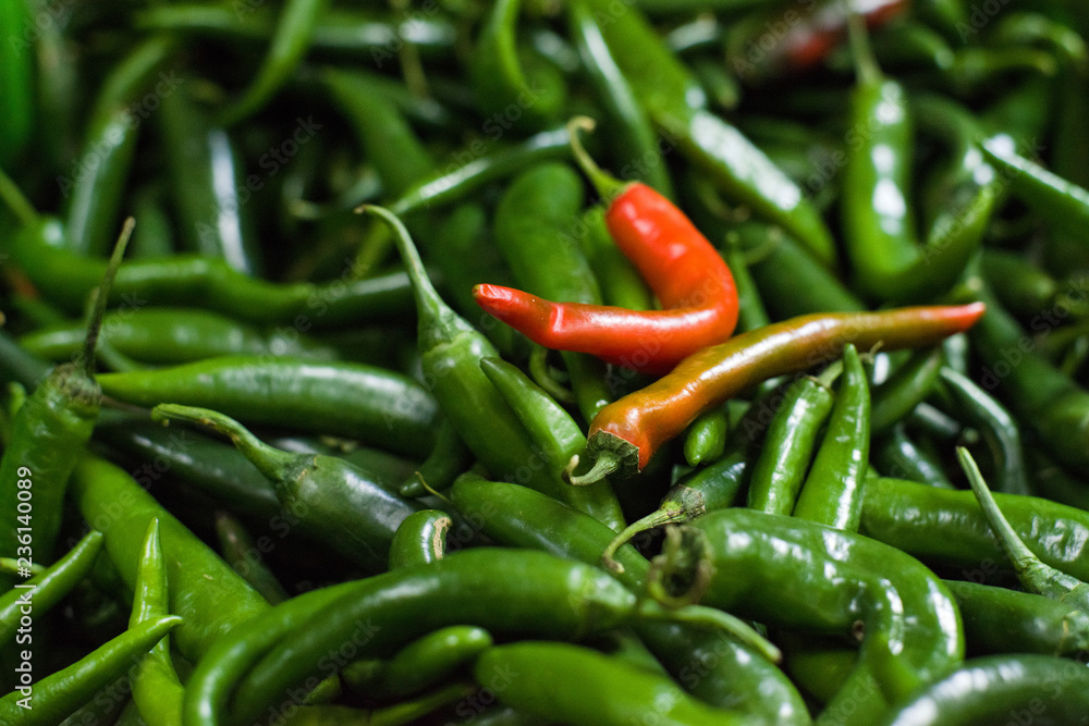 Red and green hot pepper
