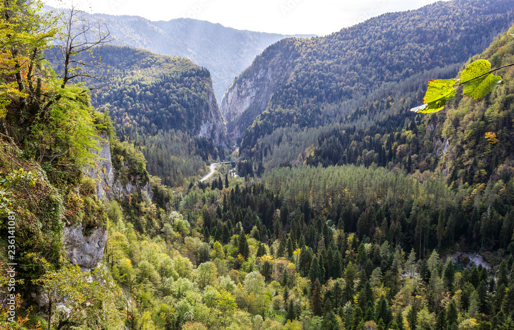 Fototapeta premium Autumn forest landscape in the mountains. Caucasian gorge in autumn.