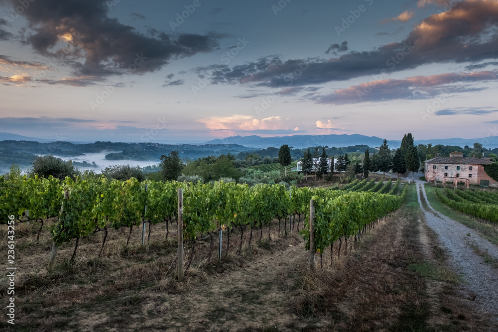 Fototapeta premium Peccioli, Pisa, Tuscany - Countryside landscape