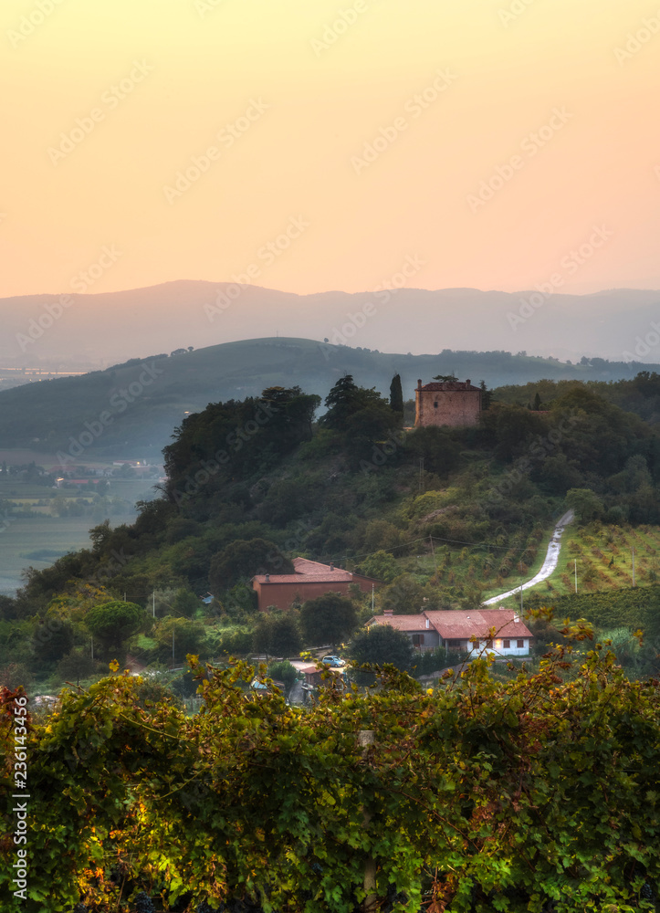 custom made wallpaper toronto digitalPaesaggio collinare al tramonto in periodo autunnale