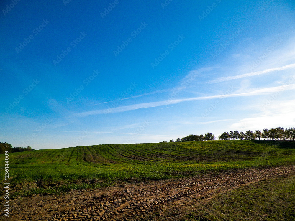 Green field landscape.