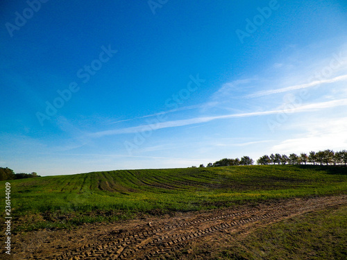 Green field landscape.