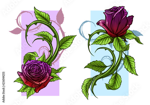 Graphic detailed cartoon violet and red roses flower with stem and leaves. On white background. Vector icon set. Vol. 3