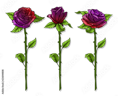 Graphic detailed cartoon violet and red roses flower with stem and leaves. Isolated on white background. Vector icon set.