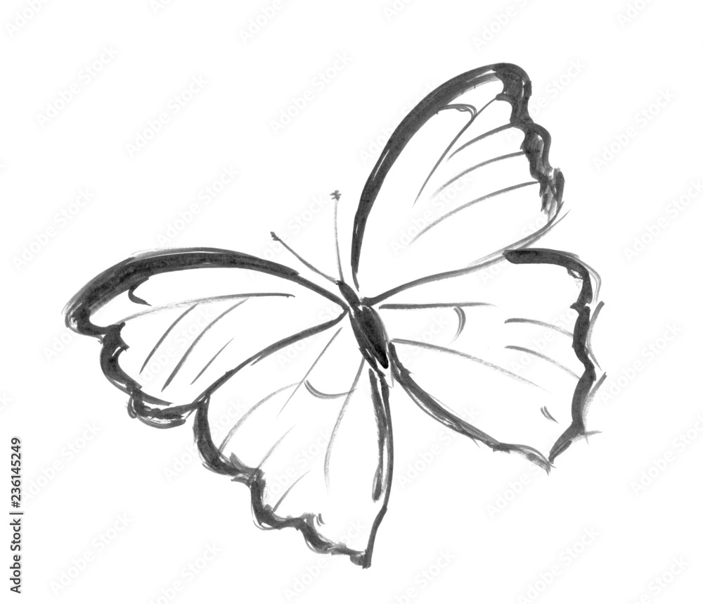 Black brush and ink artistic rough hand drawing of flying butterfly