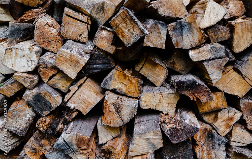 Firewood for the winter, stacks of firewood, pile of firewood. Firewood for the winter, stacks of firewood, pile of firewood.