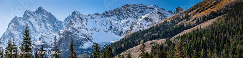 Panoramic view on snow covered mountain range and valley with evergreen forest, sunny autumn day in Caucasus mountains, Dombay, Russia