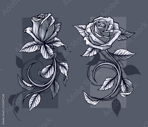 Graphic detailed graphic black and white roses flower with stem and leaves. On gray background. Vector icon set. Vol. 1
