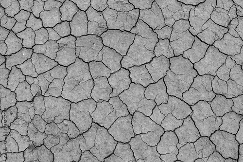Photos Cracked and dried mud backgroud