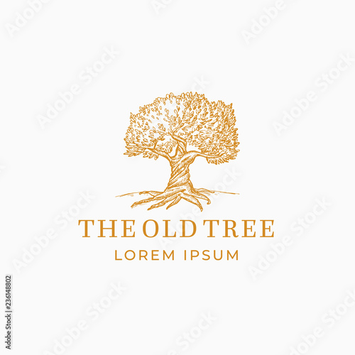 The Old Tree Abstract Vector Sign, Symbol or Logo Template. Hand Drawn Oak Tree Sketch Sillhouette with Retro Typography. Vintage Emblem.